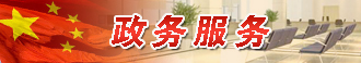 政務服務
